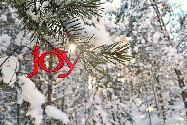 Güneş bir Glitter sevinç süs kışın patlamaları.