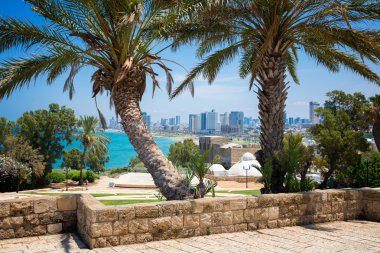 Tel-Aviv parkta