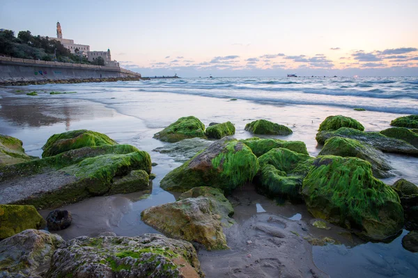 La costa de Tel Aviv — Foto de Stock