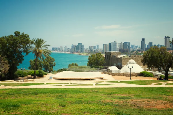 Parco a Tel Aviv — Foto Stock