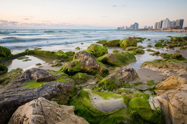 La costa de Tel Aviv — Foto de Stock