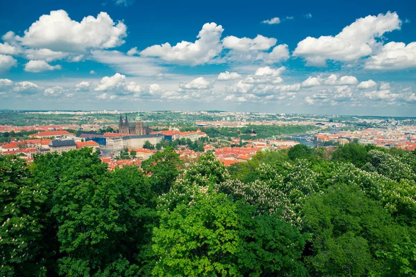 Красивый вид на Прагу — стоковое фото
