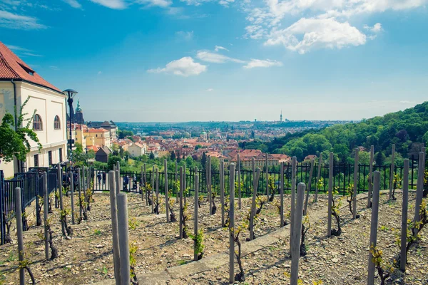 Praga città vecchia — Foto Stock