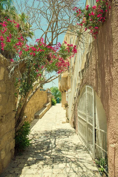 Eski şehir Jaffa — Stok fotoğraf