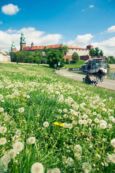 Krakow gamle by - Stock-foto