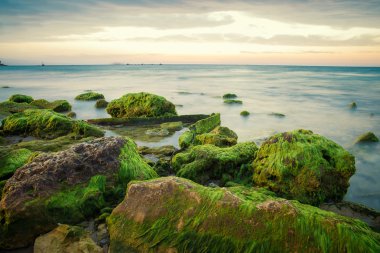 Tel Aviv günbatımında