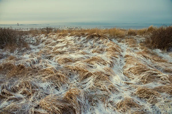 Vinterlandskap och havet — Stockfoto