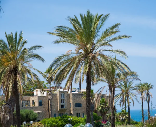 Città vecchia Jaffa — Foto Stock