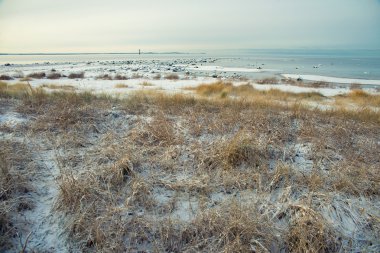 İsveç 'te kış manzarası
