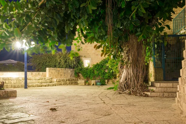 Тель - Авів уночі — стокове фото
