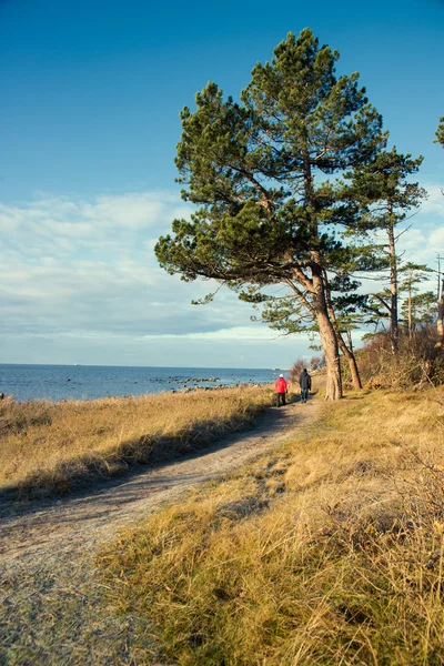 Landschap in de buurt van de zee — Stockfoto