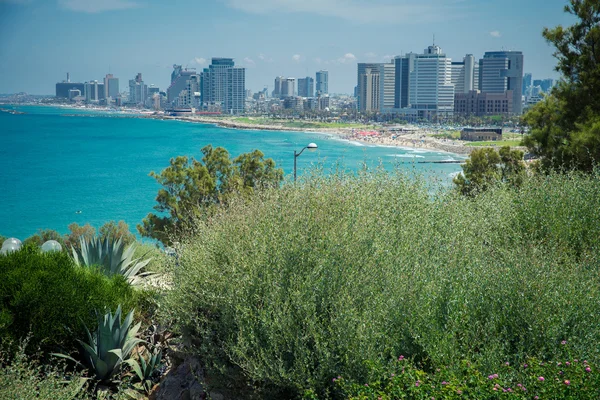 Tel Aviv cidade velha — Fotografia de Stock