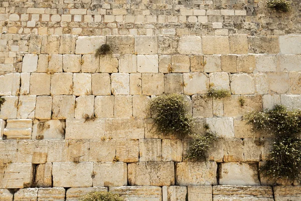 Västra muren i jerusalem — Stockfoto