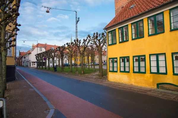 Timoniere in denmark — Foto Stock