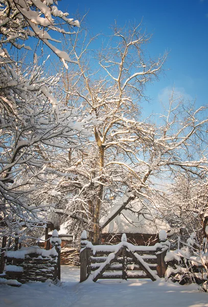 Winter park na den — Stock fotografie