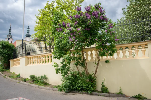 Schönes altes Prag — Stockfoto