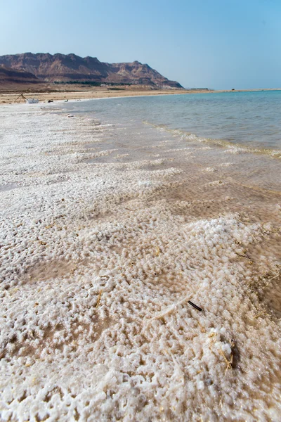 死海のビュー — ストック写真