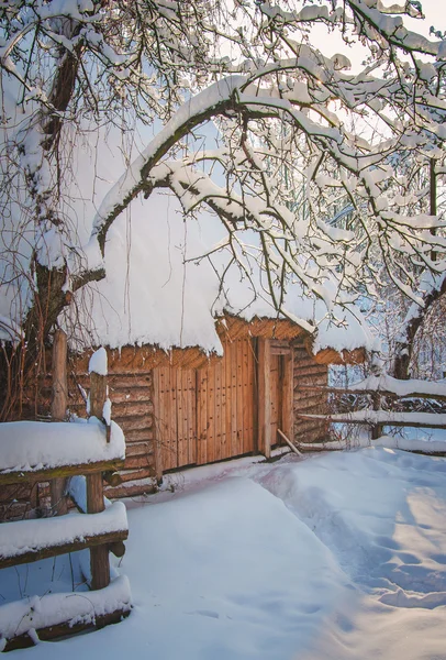 Piękny park zimą — Zdjęcie stockowe