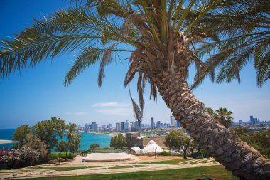 Tel-Aviv parkta