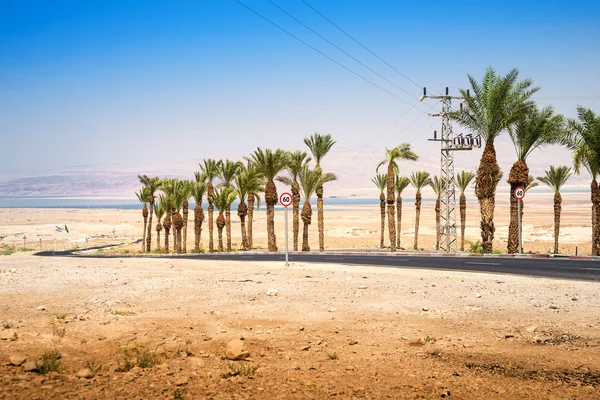 Masada en Israel — Foto de Stock