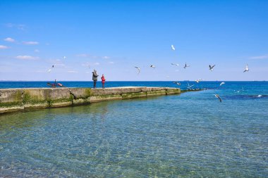 İskeledeki insanlar Karadeniz 'de uçan martıları besliyor.