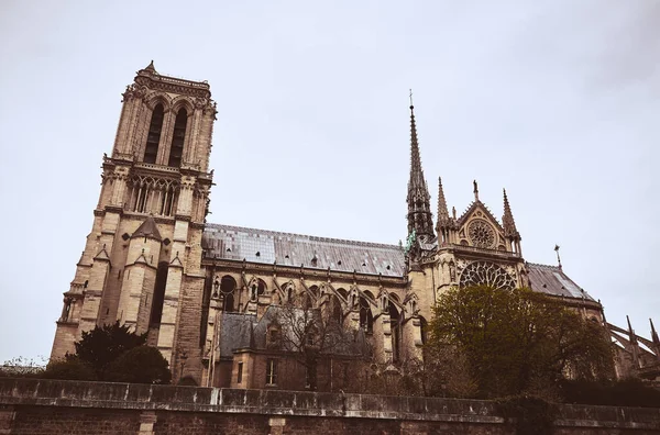 Paris Notre Dame Yan Manzarası — Stok fotoğraf