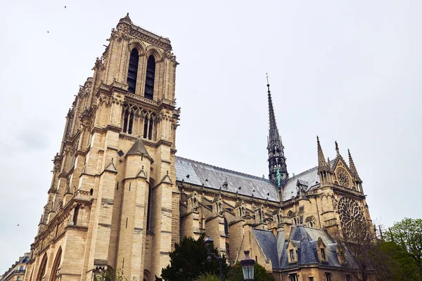 Paris Notre Dame Yan Manzarası — Stok fotoğraf