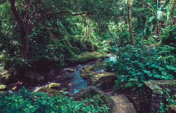 Bali Adasındaki Ormandaki Resim Nehri — Stok fotoğraf