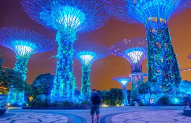 SINGAPORE - JANUARY 12, 2019:  Gardens by the Bay is a nature park with super trees at night