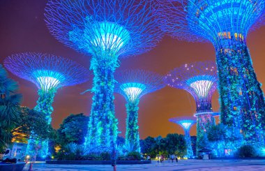 SINGAPORE - JANUARY 12, 2019:  Gardens by the Bay is a nature park with super trees at night