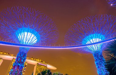 SINGAPORE - JANUARY 12, 2019:  Gardens by the Bay is a nature park with super trees at night