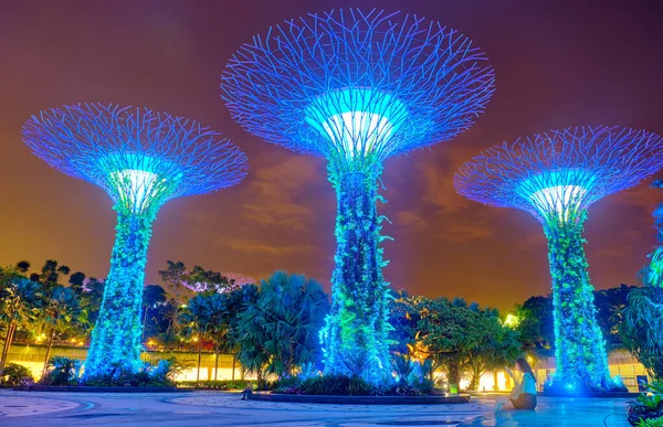 SINGAPORE - JANUARY 12, 2019:  Gardens by the Bay is a nature park with super trees at night