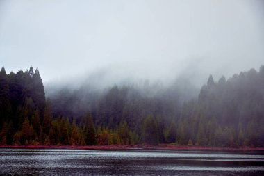  Peyzaj. Sao Miguel Adası, Portekiz 'in Azore adasındaki en büyük ve en kalabalık adadır..