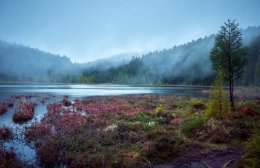  Peyzaj. Sao Miguel Adası, Portekiz 'in Azore adasındaki en büyük ve en kalabalık adadır..