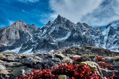 Mont Blanc 'ın Alplerdeki dağ manzarası. Chamonix, Fransa.