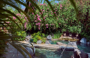 Manzara. Bali adasındaki yeşil güzel park. Endonezya.