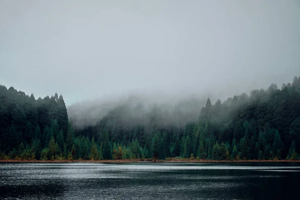 Bela Paisagem Com Lago Uma Cratera Vulcânica Uma Floresta Ilha — Fotografia de Stock