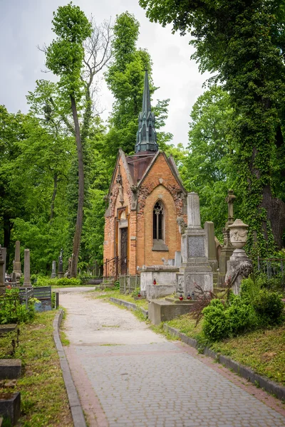 Історичний Личаківський цвинтар — стокове фото