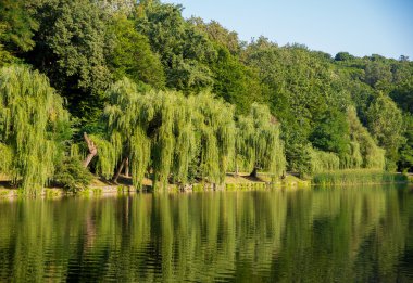 Bir göl ile yaz park