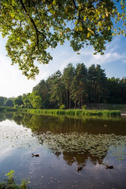 Bir göl ile yaz park