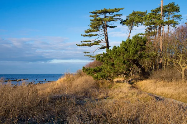 Landskap — Stockfoto