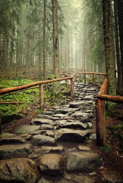 Camino de piedra — Foto de Stock