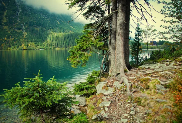 Lake shore — Stock Photo, Image