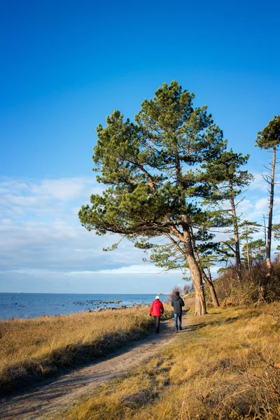 Landskap — Stockfoto