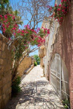 eski şehir Jaffa