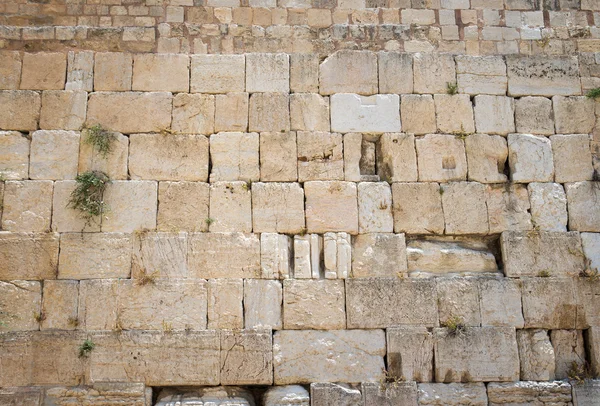 Västra muren i jerusalem — Stockfoto