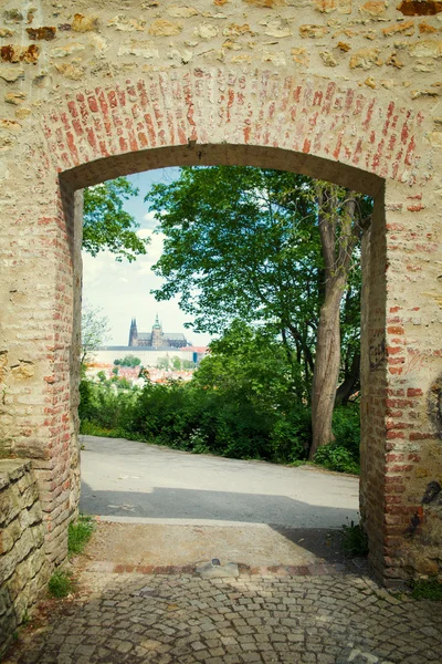 Garten in Prag — Stockfoto