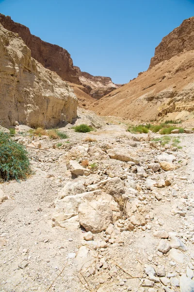 Góry w Izraelu — Zdjęcie stockowe