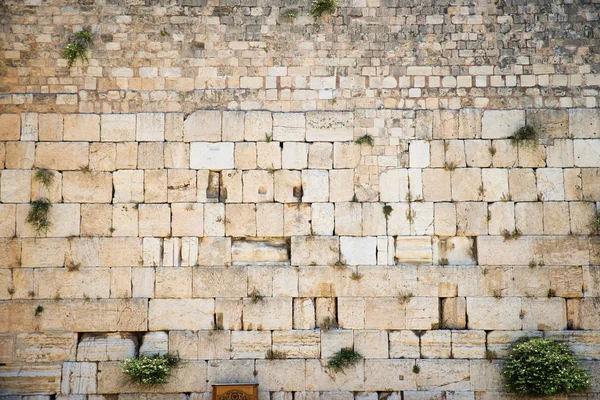 Västra muren i jerusalem — Stockfoto