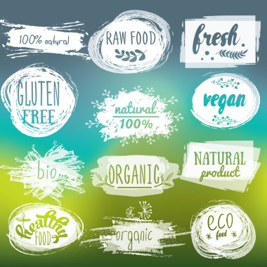 Vejetaryen ve çiğ gıda diyet tasarımları içeren etiketleri. Organik gıda etiketleri ve öğeleri yemek ve içki, kafe, Restoran ve organik ürünleri paketleme için ayarla. Biyo Detoks logo vektör resimli.